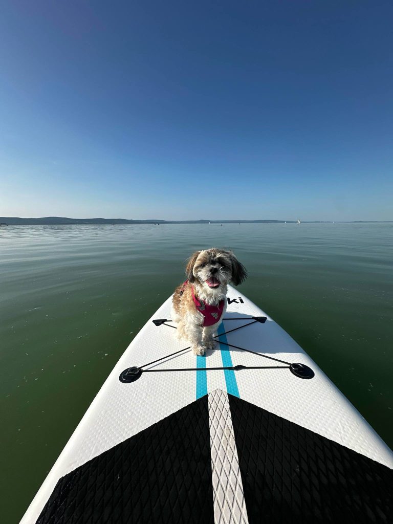Kisállatbarát SUP élmény Balatonlellén🐾